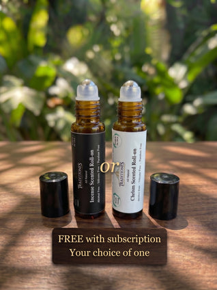 Traditional Basics Bundle